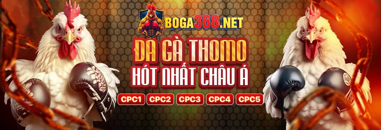 Đội ngũ hỗ trợ khách hàng chuyên nghiệp của ku88 win